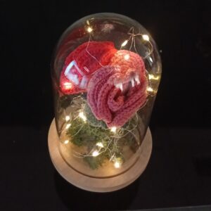rose sous cloche au crochet