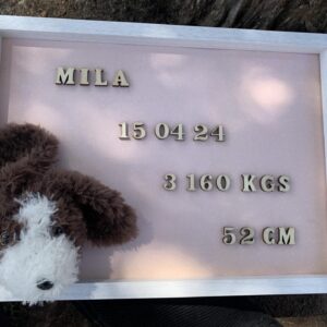 Cadre naissance tête chien personnalisable au crochet